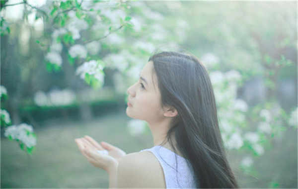 板芙镇验血查男女几周可以验(验血查男女结果图)